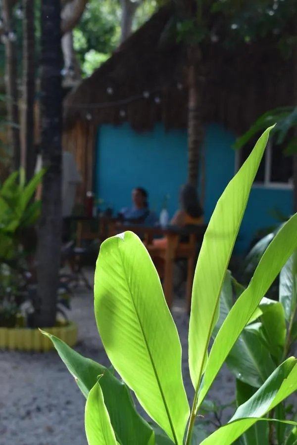 Pensjonat Hostal La Malinche Tulum Meksyk
