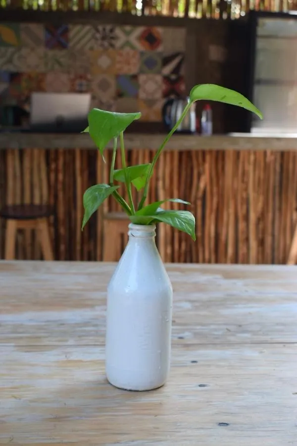 Hostal La Malinche Tulum