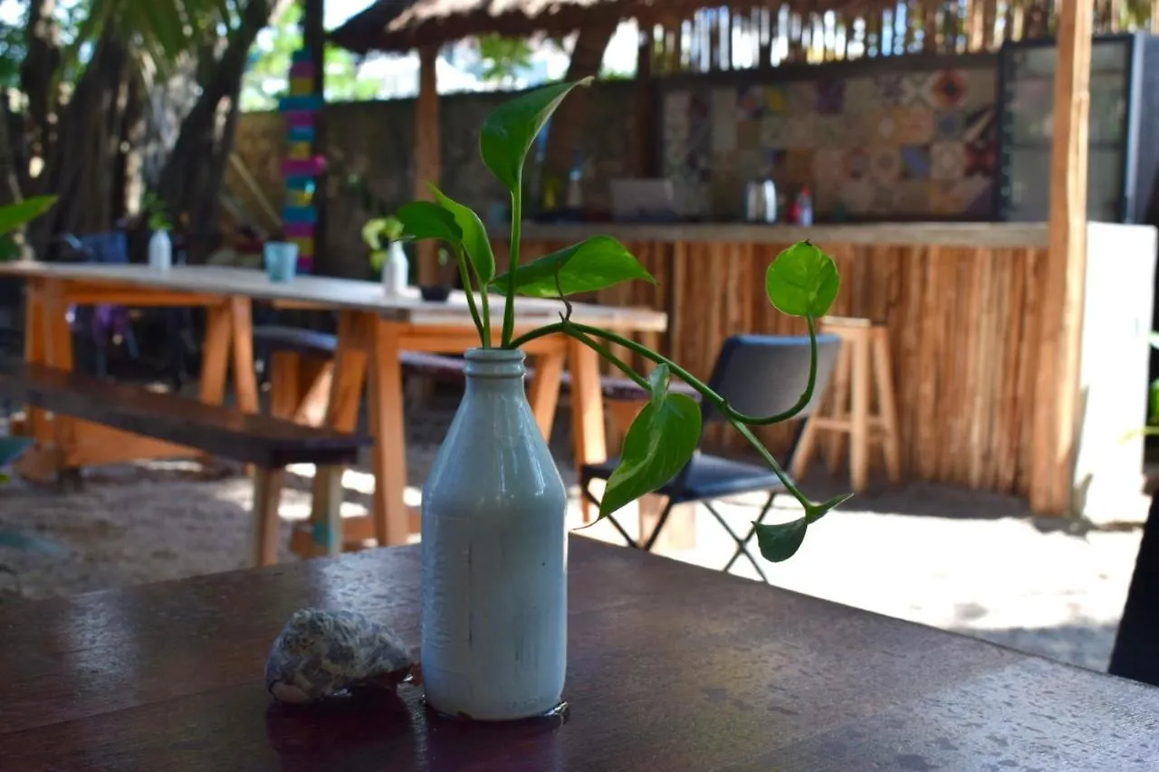 Hostal La Malinche Tulum 0*,